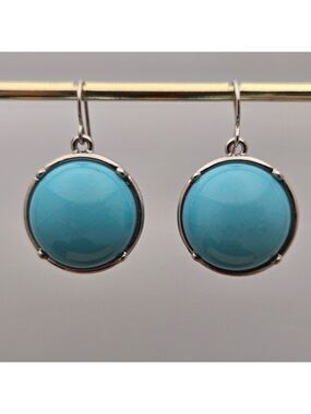 ✨2/$10✨ Silver & Turquoise Round Dangle Earrings Casual Everyday Style